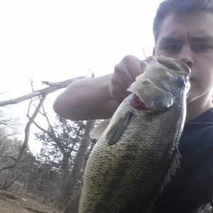 Meet your Posher, Drew